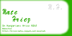 mate hricz business card