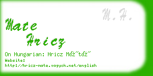 mate hricz business card